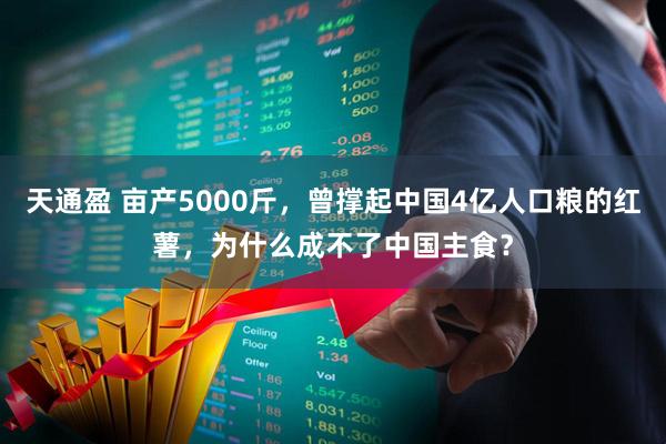 天通盈 亩产5000斤，曾撑起中国4亿人口粮的红薯，为什么成不了中国主食？