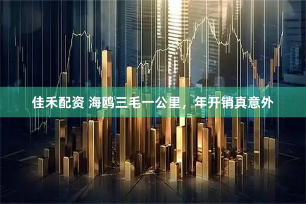 佳禾配资 海鸥三毛一公里，年开销真意外