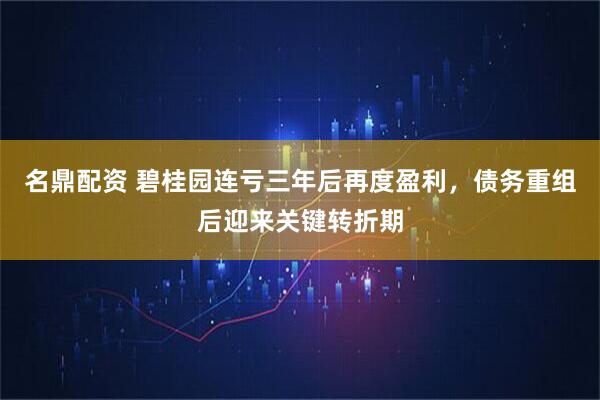 名鼎配资 碧桂园连亏三年后再度盈利，债务重组后迎来关键转折期