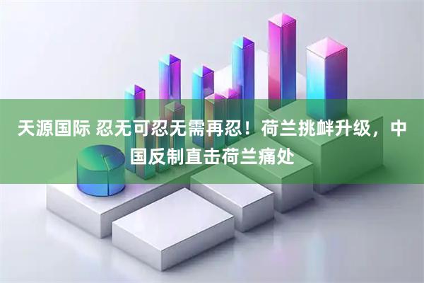 天源国际 忍无可忍无需再忍！荷兰挑衅升级，中国反制直击荷兰痛处