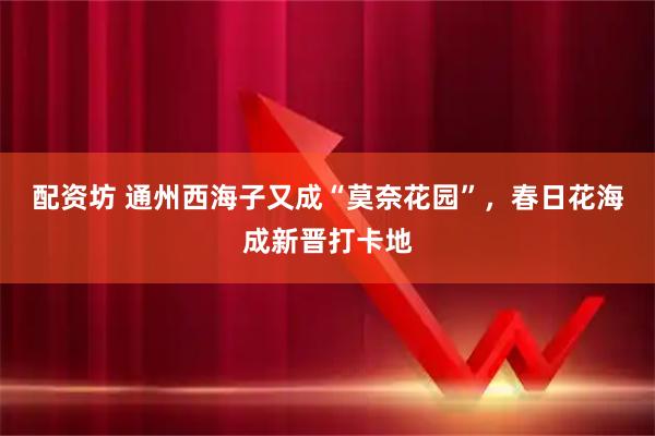 配资坊 通州西海子又成“莫奈花园”，春日花海成新晋打卡地