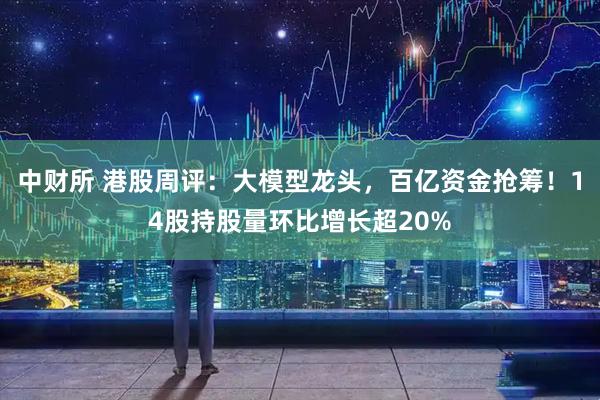 中财所 港股周评:大模型龙头,百亿资金抢筹!14股持股量环比增长超20%