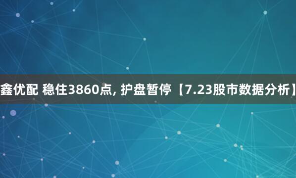 鑫优配 稳住3860点, 护盘暂停【7.23股市数据分析】