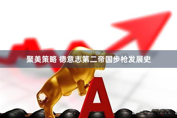 聚美策略 德意志第二帝国步枪发展史