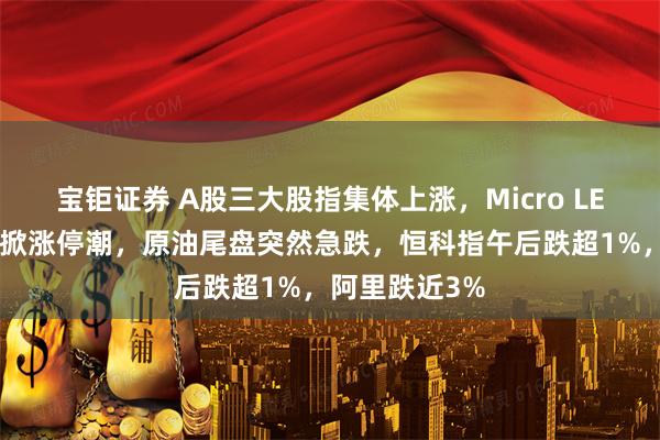 宝钜证券 A股三大股指集体上涨，Micro LED、智能电网掀涨停潮，原油尾盘突然急跌，恒科指午后跌超1%，阿里跌近3%