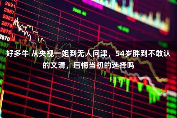 好多牛 从央视一姐到无人问津，54岁胖到不敢认的文清，后悔当初的选择吗