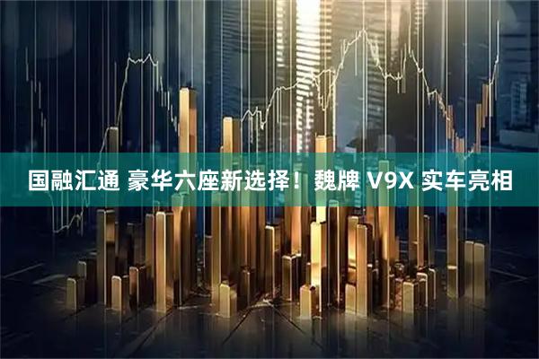 国融汇通 豪华六座新选择！魏牌 V9X 实车亮相