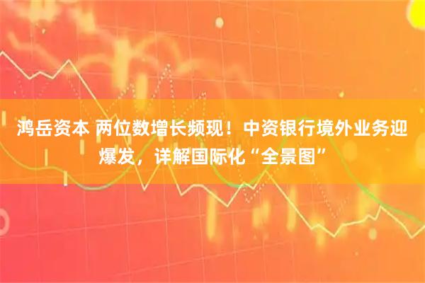 鸿岳资本 两位数增长频现!中资银行境外业务迎爆发,详解国际化“全景图”