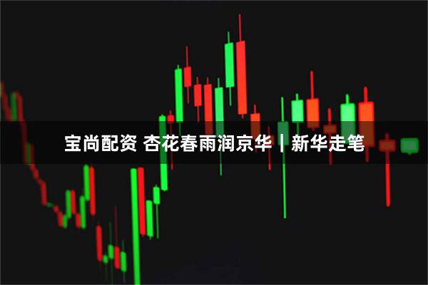 宝尚配资 杏花春雨润京华｜新华走笔