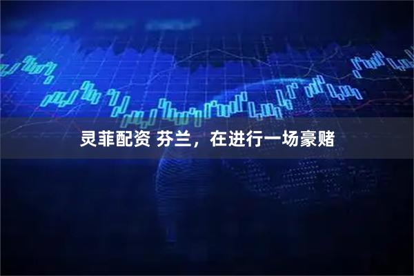 灵菲配资 芬兰，在进行一场豪赌